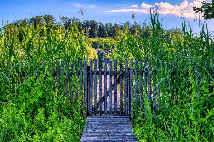 A path through community landscaping